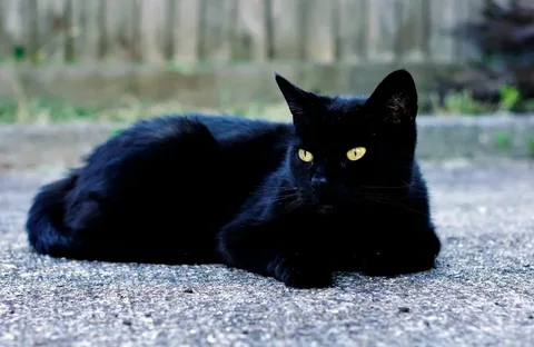 Edgar Allan Poe