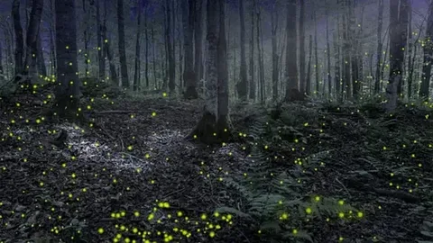 Bedtime Stories Featuring ADHD Heroes