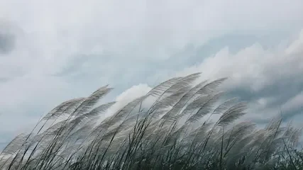 Autism-Friendly Bedtime Stories